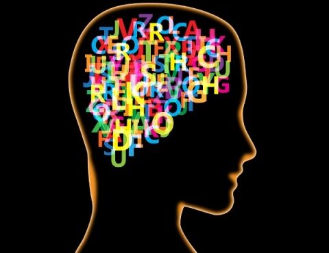 embodied language processing